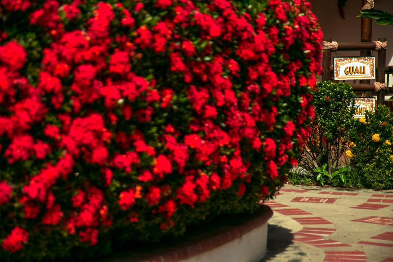 Hosteria Tonusco Campestre Santa Fe de Antioquia Bagian luar foto